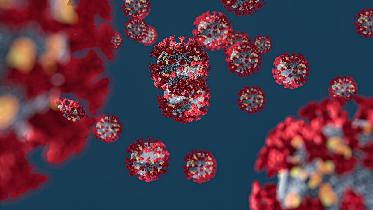 Coronavirus mirat amb microscopi