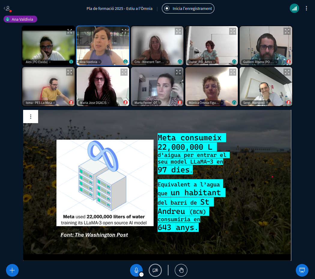  Captura de pantalla d’una sessió en línia del Pla de Formació 2025 – Estiu a l’Òmnia, amb diverses persones participants en finestres de videoconferència.