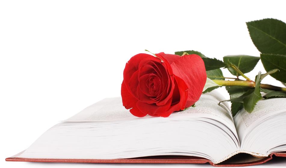 Rosa i llibre