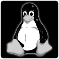 Imatge del pingüí Tux, mascota de Linux