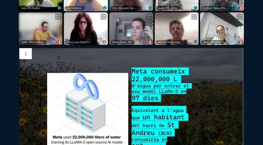  Captura de pantalla d’una sessió en línia del Pla de Formació 2025 – Estiu a l’Òmnia, amb diverses persones participants en finestres de videoconferència.