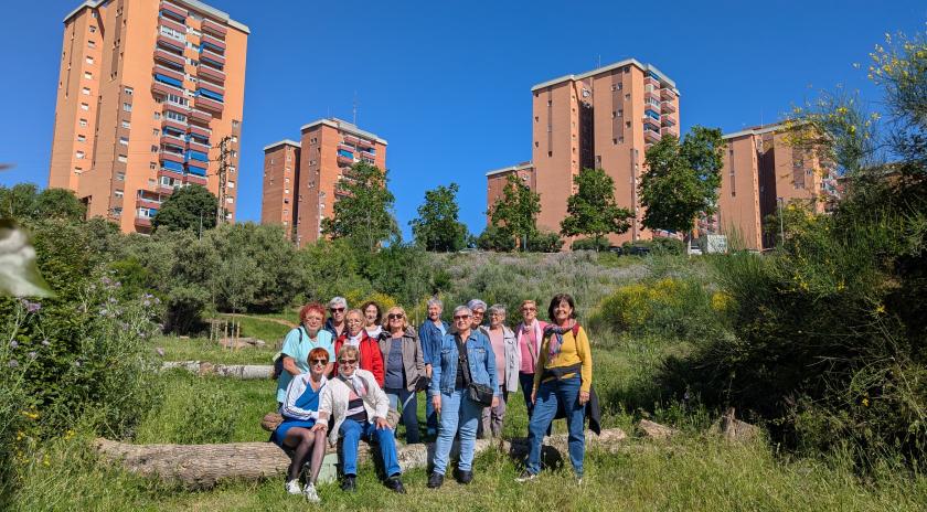 Imatge del barri de Can Jofresa de Terrassa